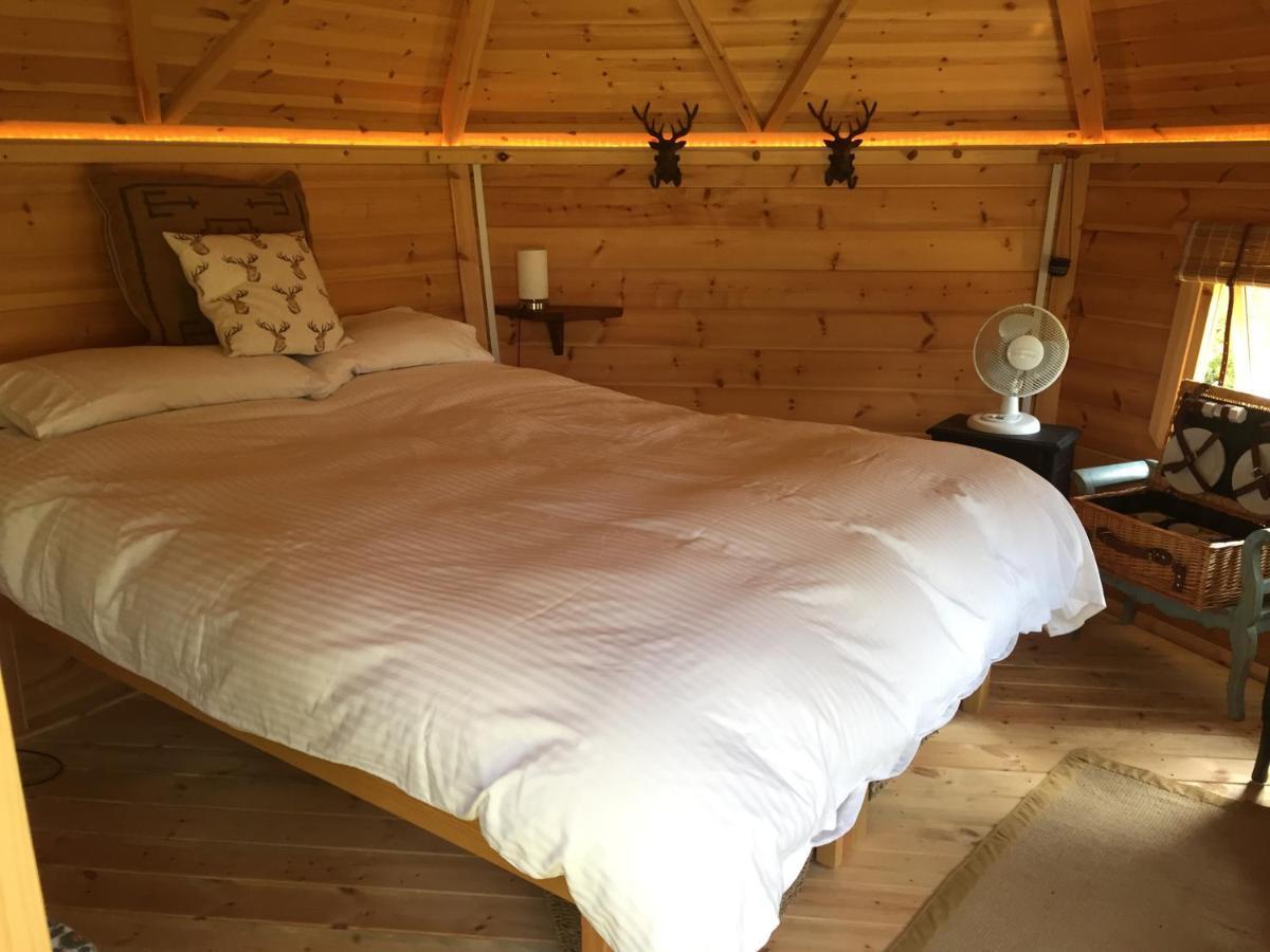 Culvers House Cattistock Dış mekan fotoğraf