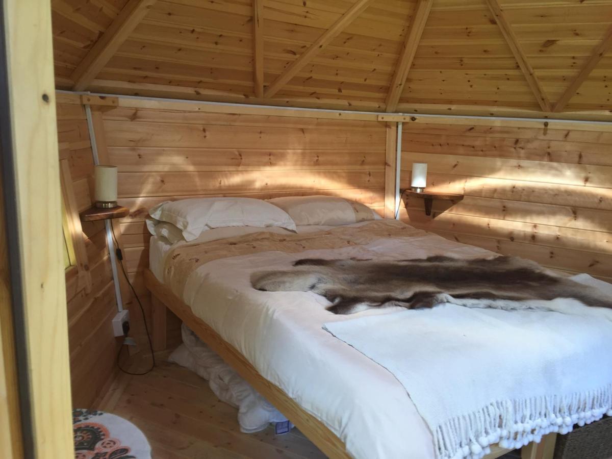 Culvers House Cattistock Dış mekan fotoğraf